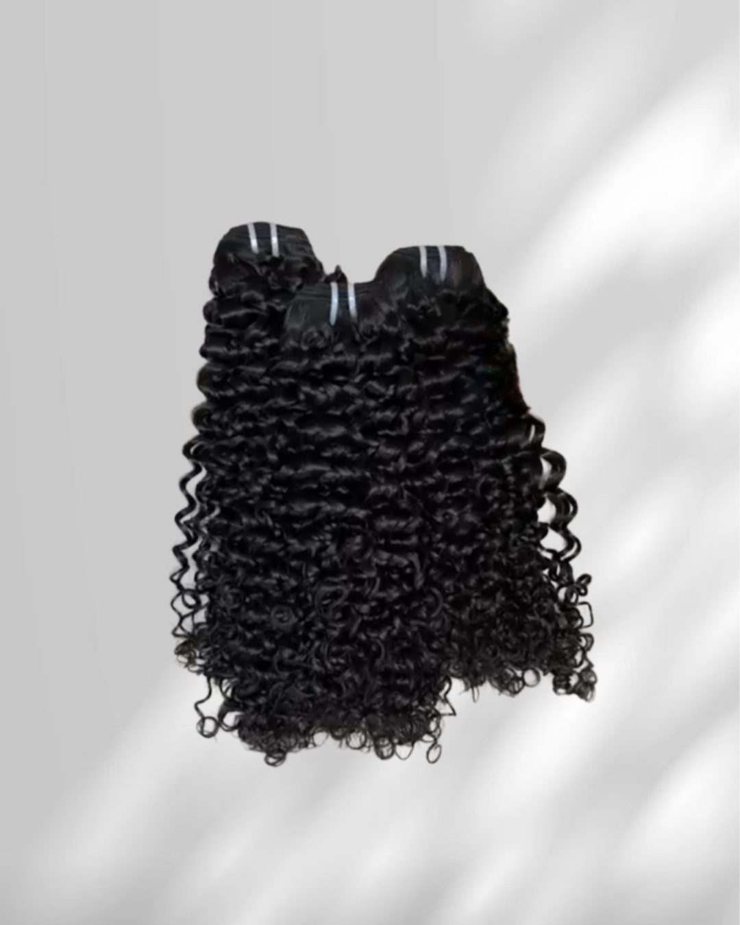 BURMESE VIRGIN CURLY